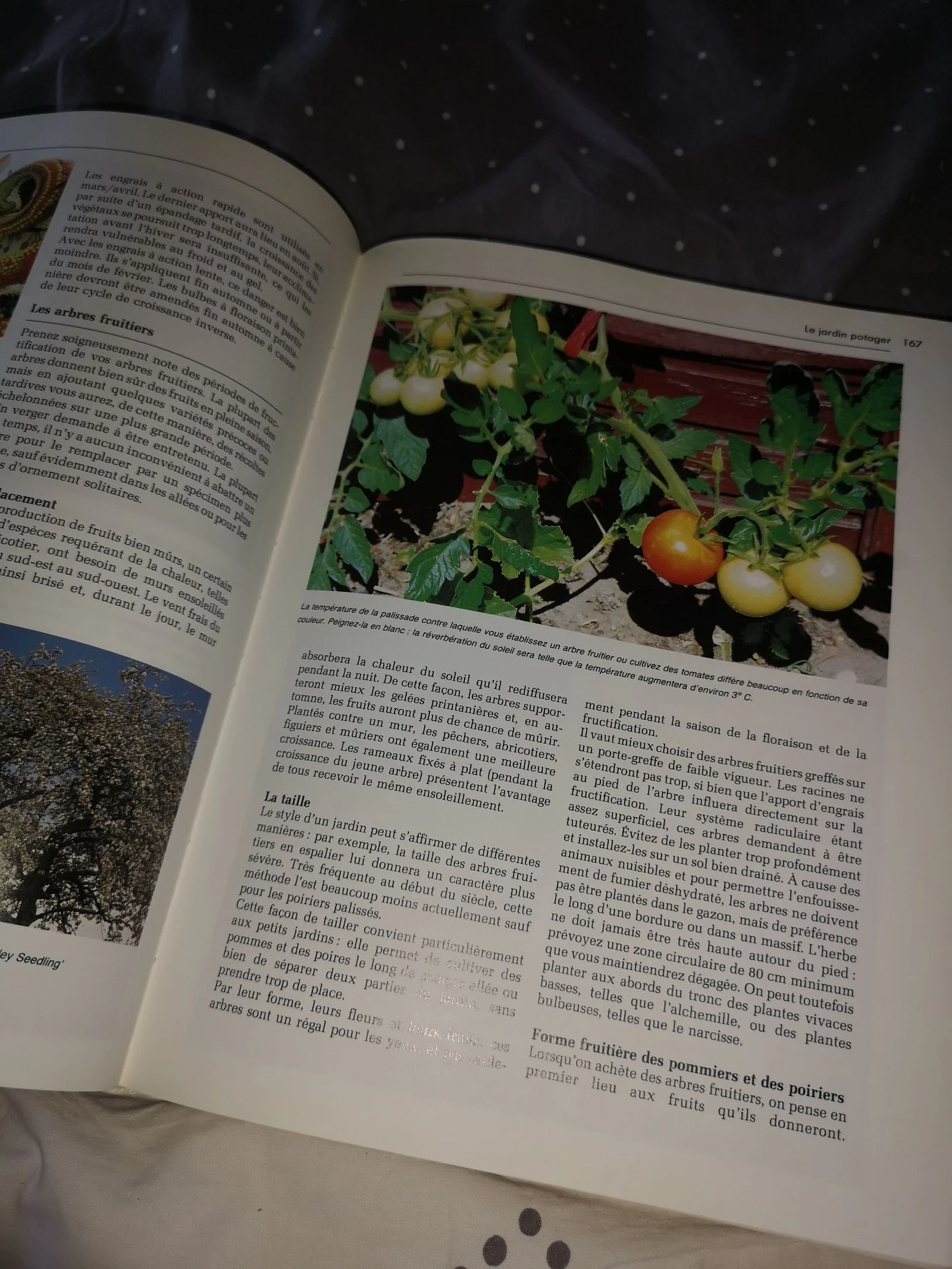 Tuinieren gids – photo 14